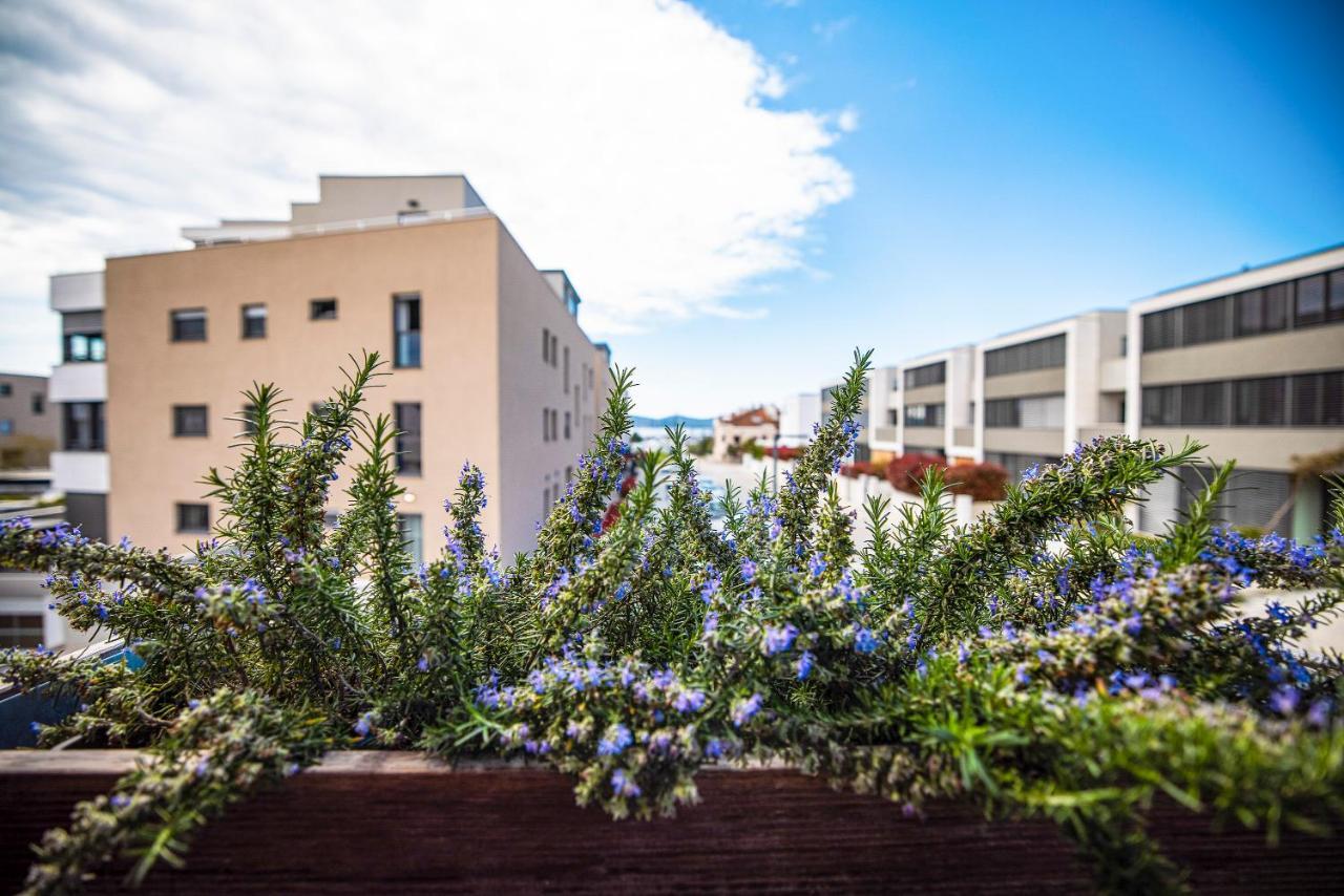Ika Boutique Luxury Apartments Zadar Exteriör bild
